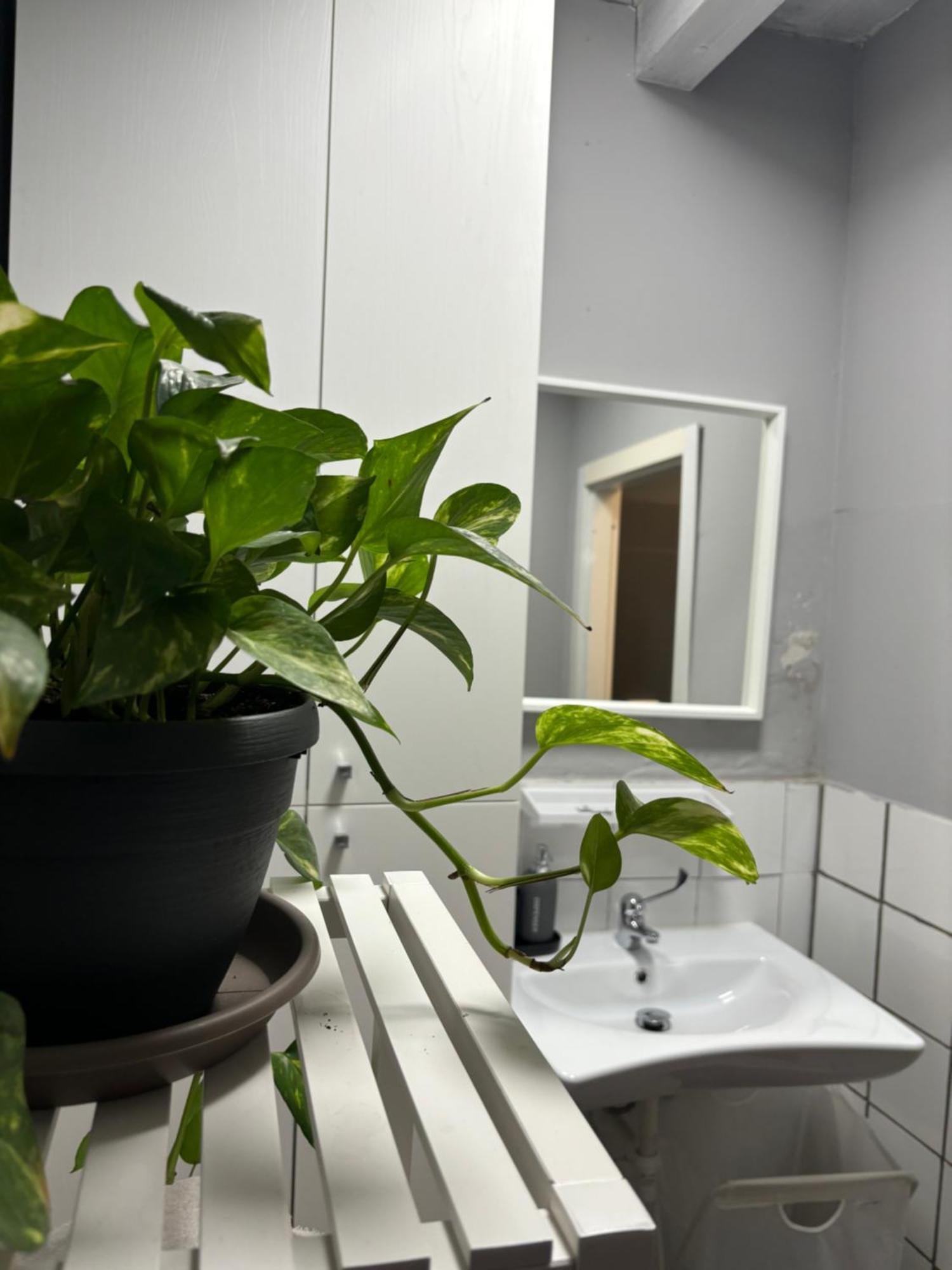 Bed and Breakfast Capitolium Ad Brescia Exterior foto